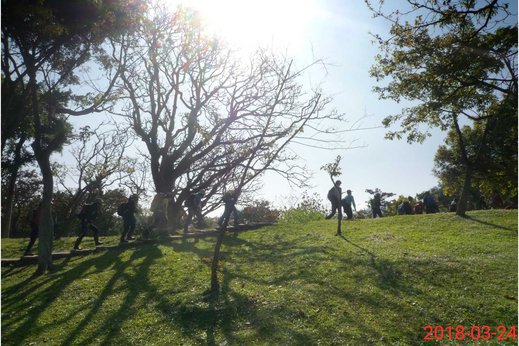 后山埤公园 四分里山 丽山峰南港山