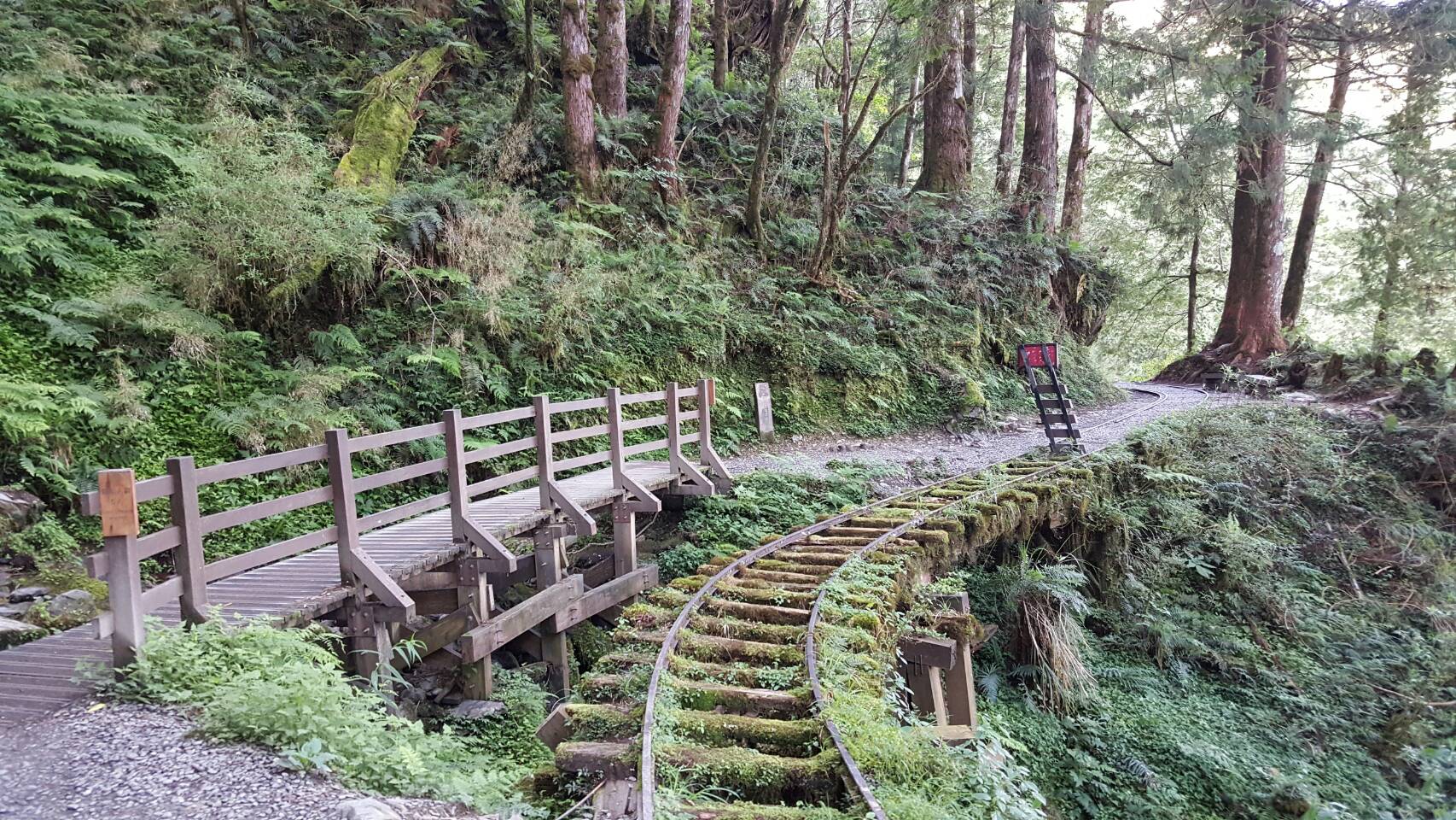 见晴怀古步道 三星山 翠峰湖环山步道【悠游小百岳】85